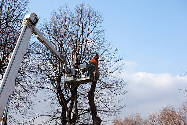Landscape Design and Installation in Hales Corners, WI